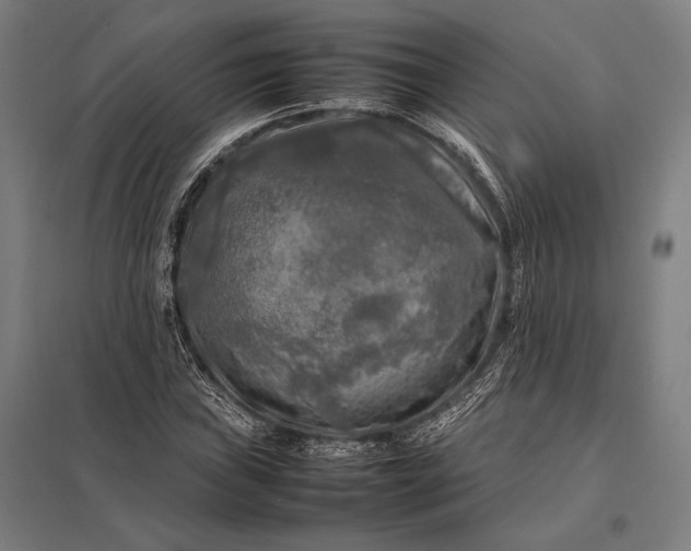 X0000097861019200803281307