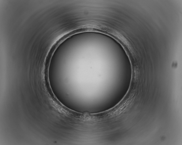 X0000097861020200803281307