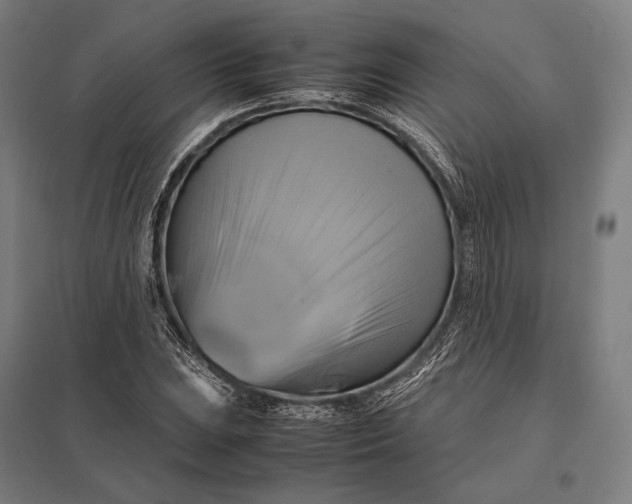 X0000097861023200803281307