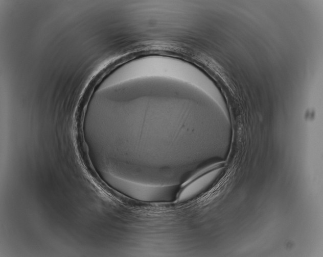 X0000097861024200803281307