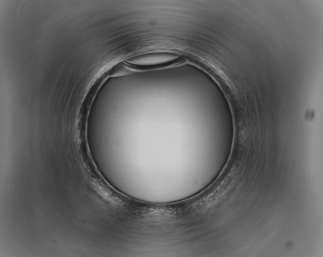 X0000097861026200803281307