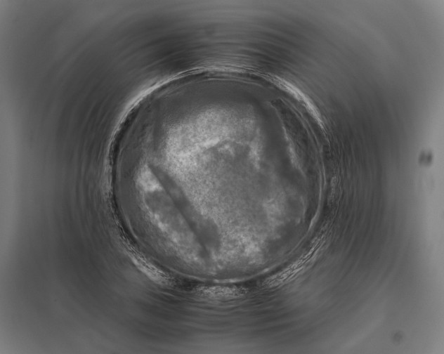 X0000097861027200803281307