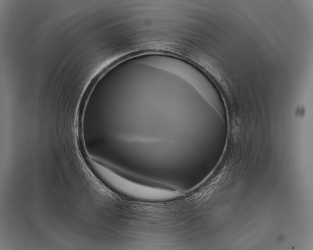 X0000097861028200803281307