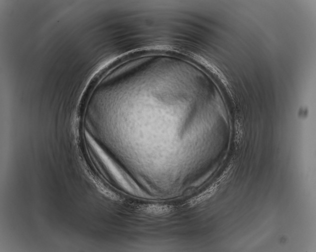 X0000097861029200803281307