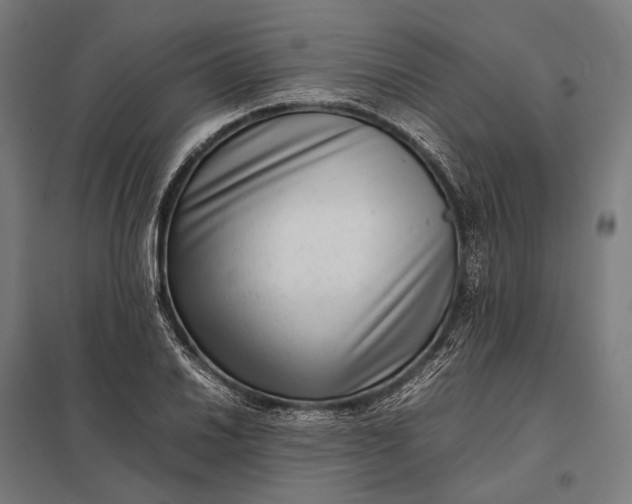 X0000097861030200803281307