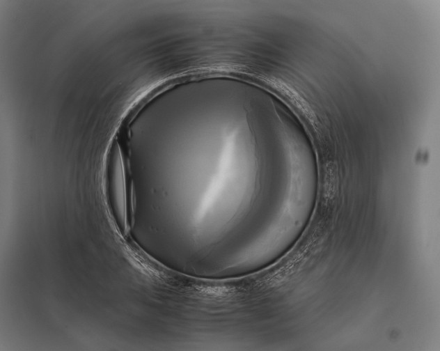 X0000097861031200803281307