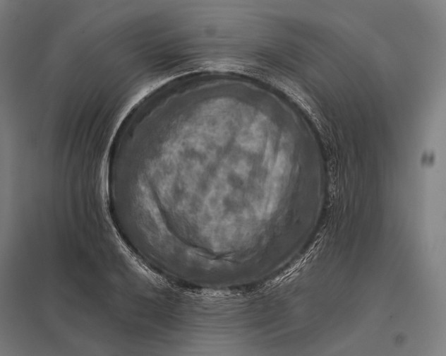 X0000097861032200803281307