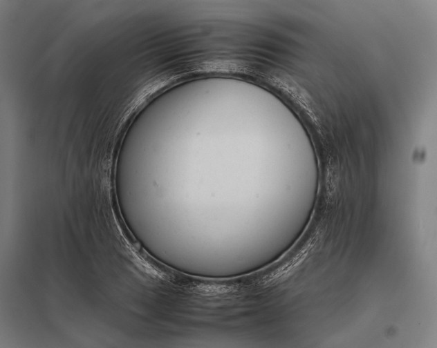 X0000097861033200803281307