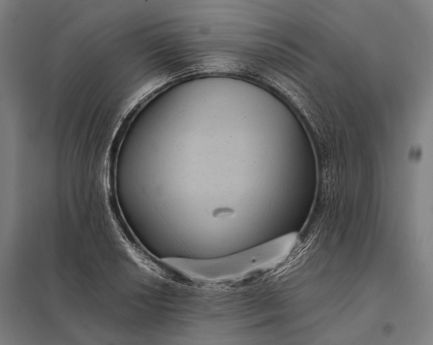 X0000097861034200803281307