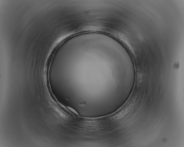 X0000097861035200803281307