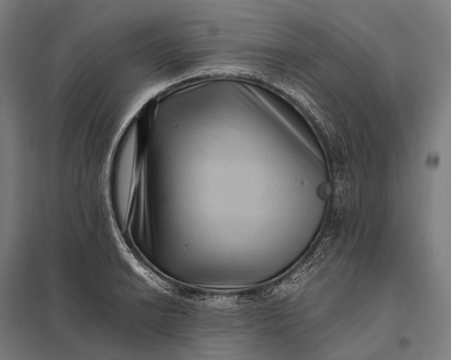 X0000097861038200803281307