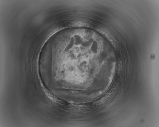 X0000097861039200803281307