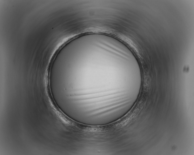 X0000097861040200803281307