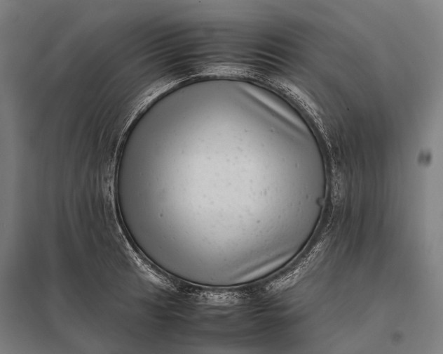 X0000097861041200803281307