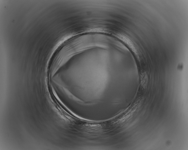 X0000097861043200803281307