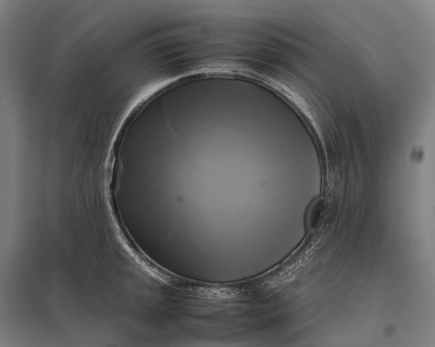 X0000097861045200803281307