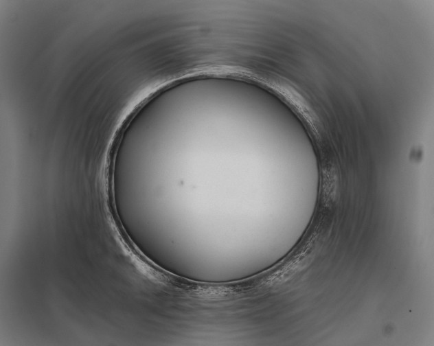 X0000097861046200803281307