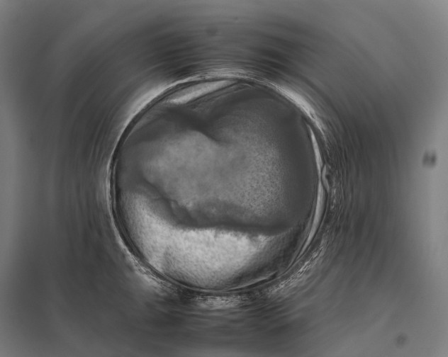 X0000097861047200803281307