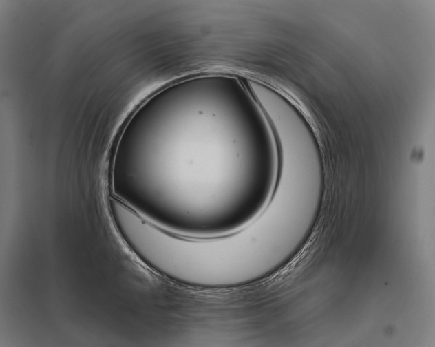 X0000097861048200803281307