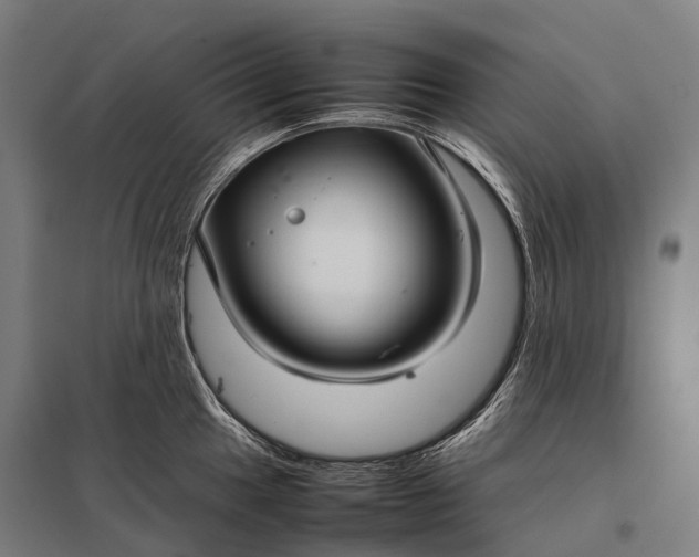 X0000097861049200803281307