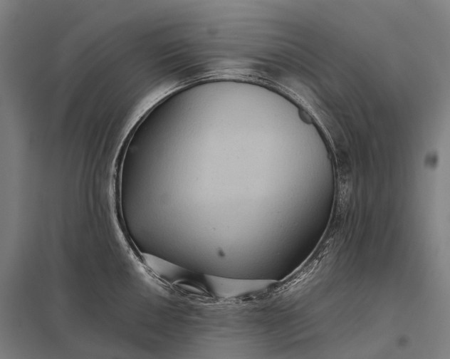 X0000097861050200803281307