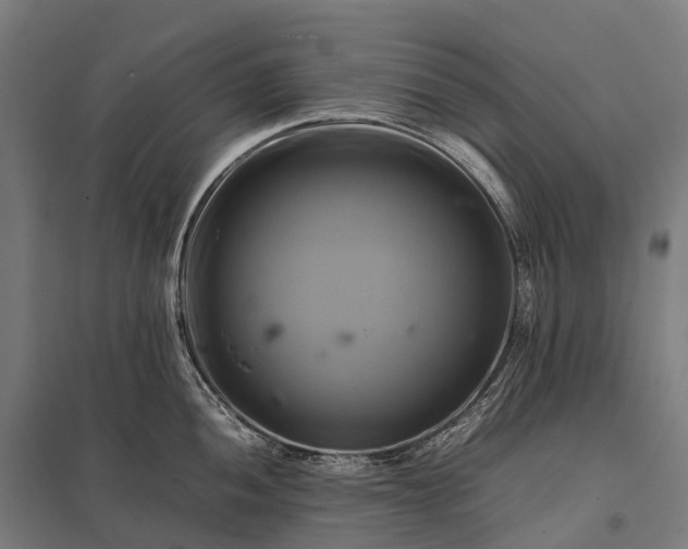 X0000097861052200803281307