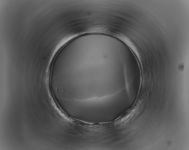 X0000097861053200803281308