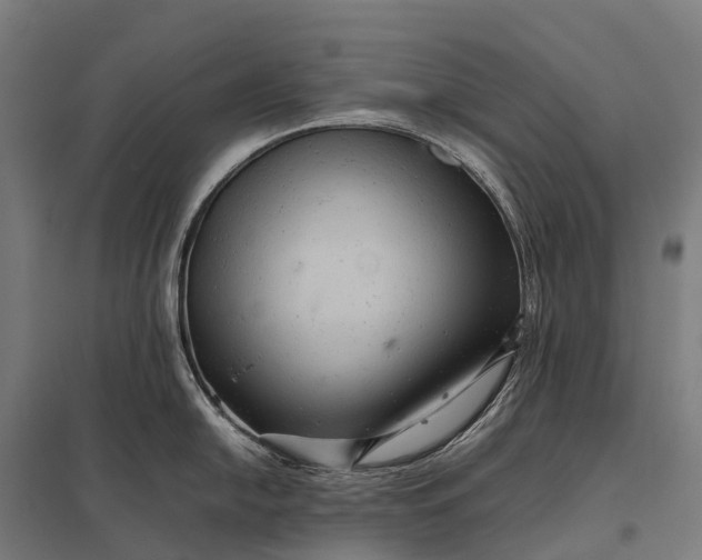 X0000097861054200803281308