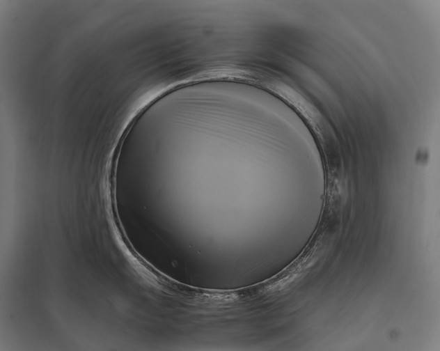 X0000097861055200803281308