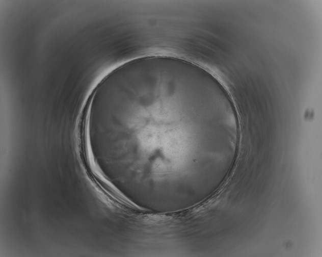 X0000097861056200803281308