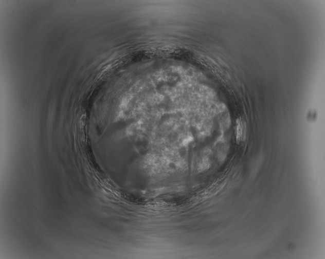 X0000097861059200803281307