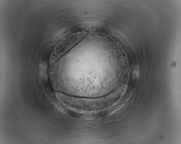 X0000097861060200803281307