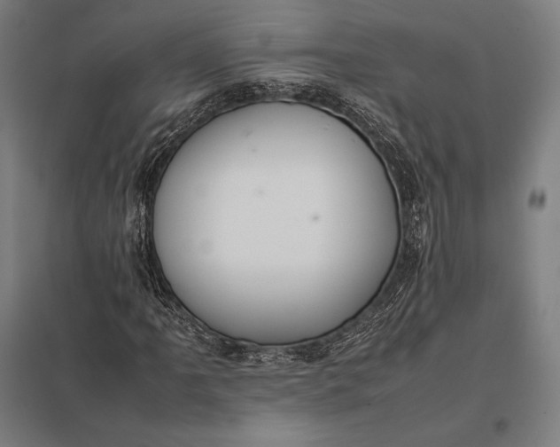 X0000097861061200803281307