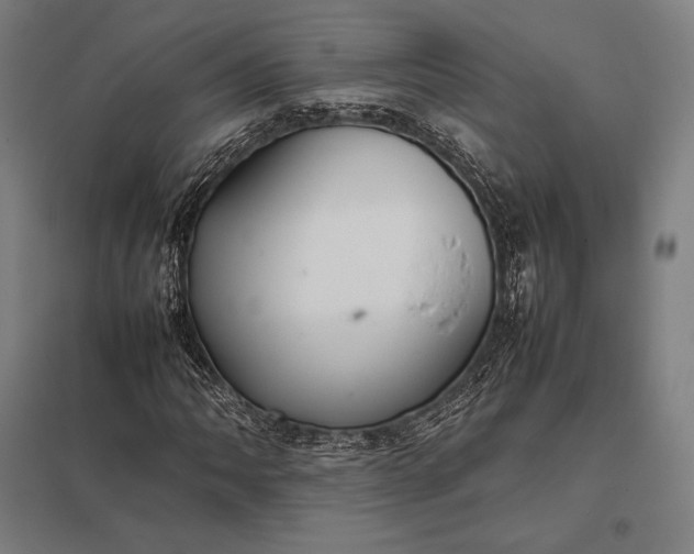 X0000097861062200803281307