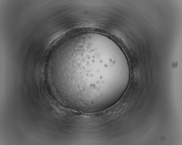 X0000097861064200803281307