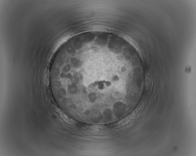 X0000097861067200803281307