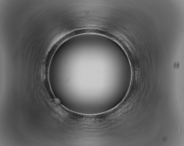 X0000097861069200803281307