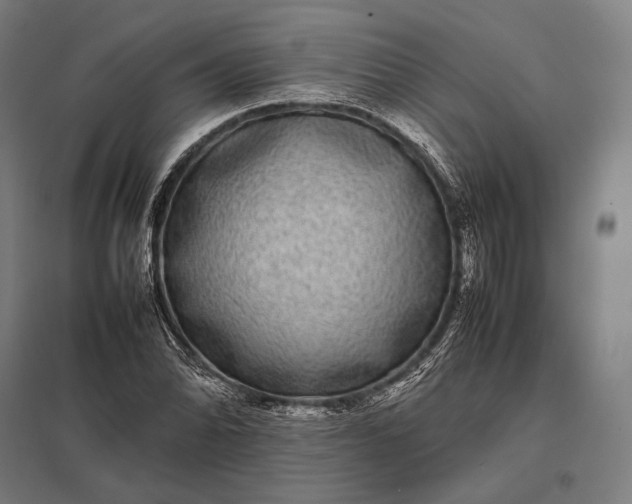 X0000097861070200803281307