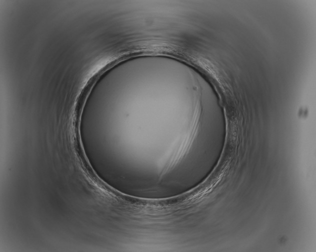 X0000097861071200803281307