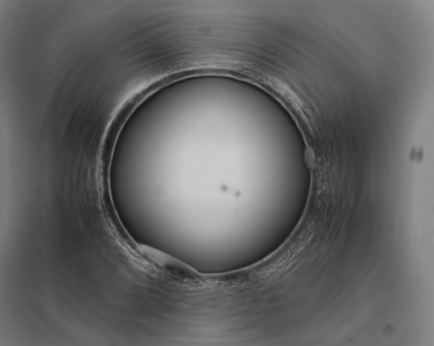 X0000097861072200803281307