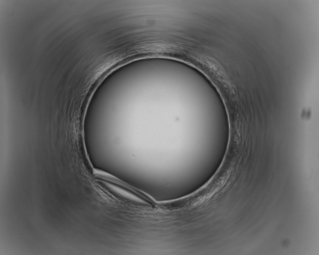 X0000097861073200803281307