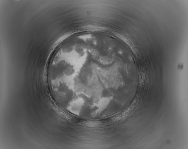 X0000097861074200803281307