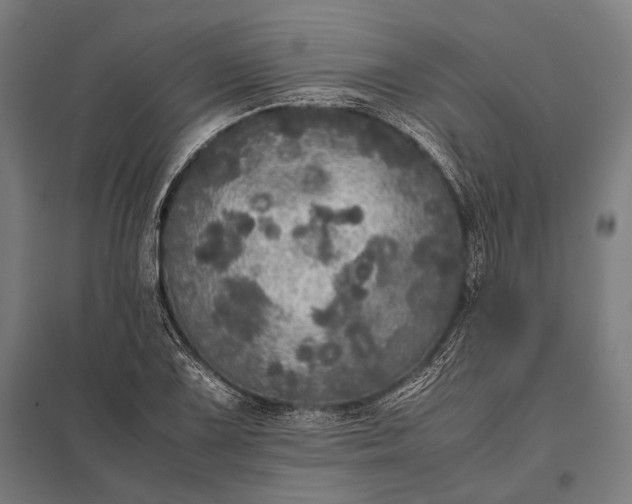 X0000097861075200803281307