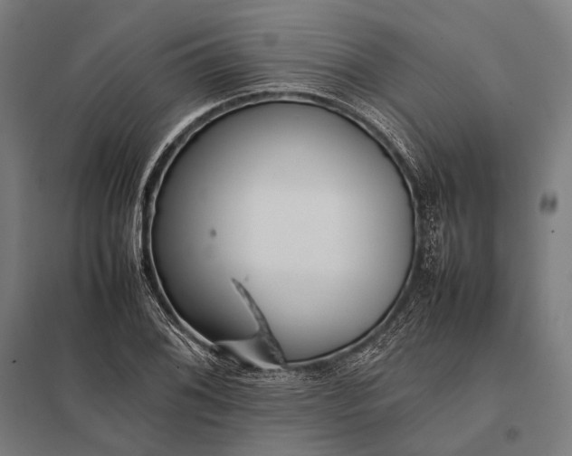 X0000097861076200803281307