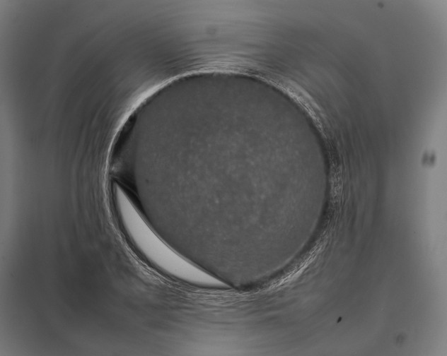 X0000097861077200803281307