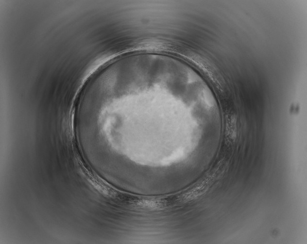 X0000097861078200803281307