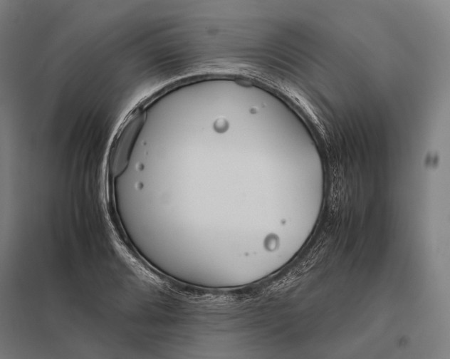 X0000097861080200803281307