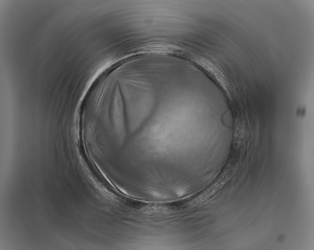 X0000097861083200803281307