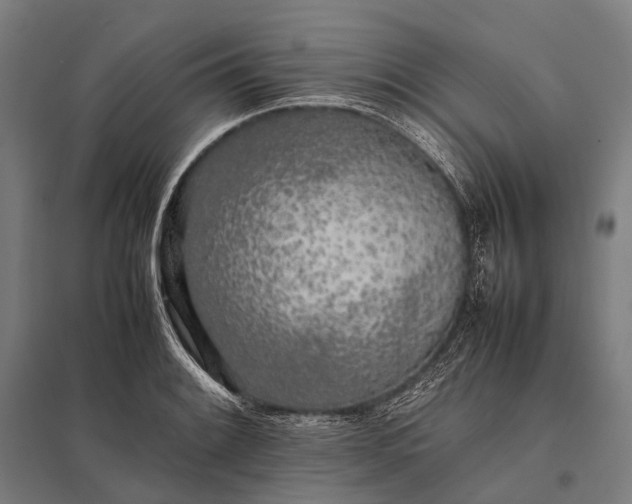 X0000097861084200803281307