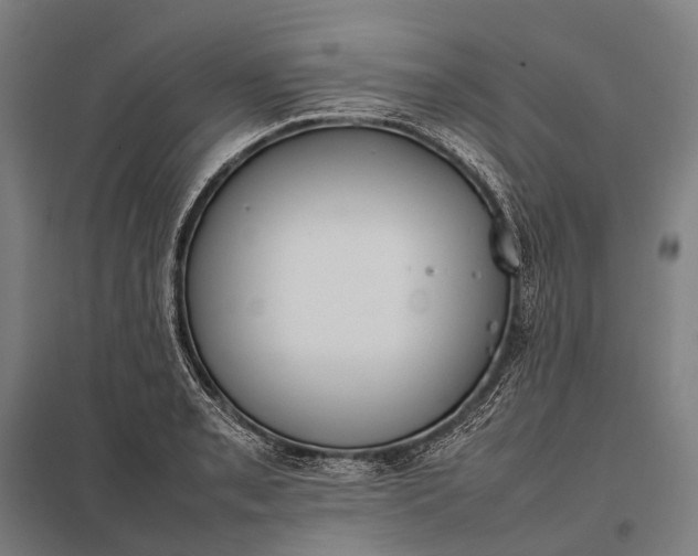 X0000097861085200803281307